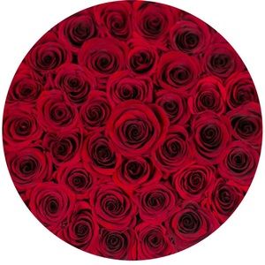 The Million Roses Accents - THE MILLION ROSES— in Red The Million Roses Accents - THE MILLION ROSES— in Red